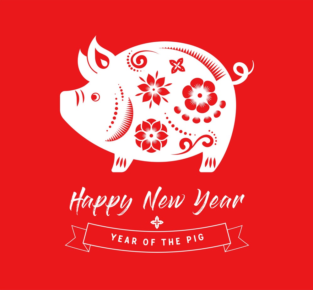 chinese new year pig